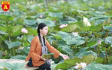 Dịu dàng mùa sen Hà Nội
